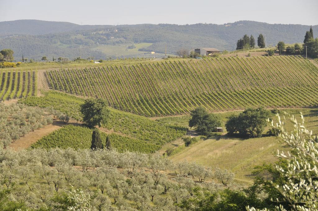 Agriturismo Renai E Monte II Gambassi Terme Ngoại thất bức ảnh